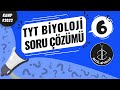 TYT Biyoloji Soru Çözümü 6 #Kamp2022 #YKS2022 #Biyoloji