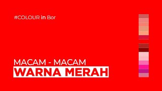 Arti Dan Macam - Macam Warna Merah