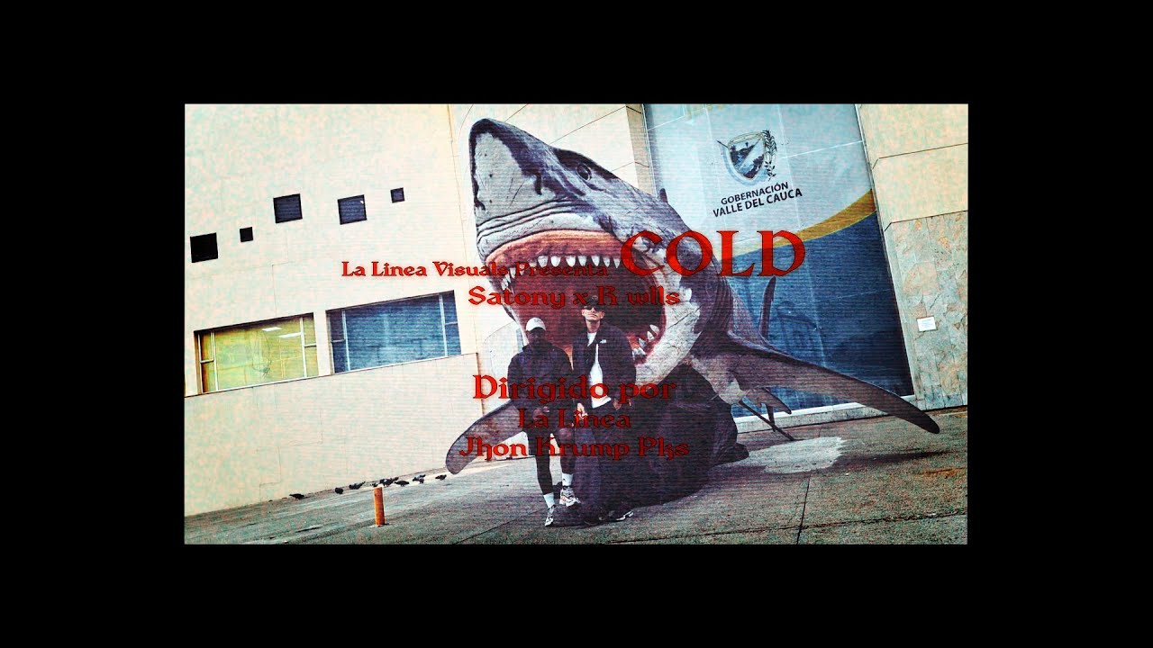 Satony | Cold Ft. Ruben Wells (visuals)