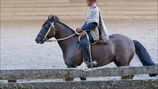 LOTE 162 - RUTILIO