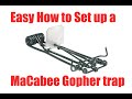 Easy how to set up Macabee Gopher trap. Quick and easy.