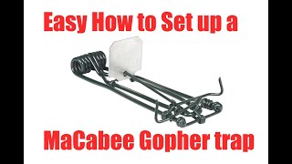 Easy how to set up Macabee Gopher trap. Quick and easy. by Jack of All 2,666 views 3 years ago 1 minute, 10 seconds