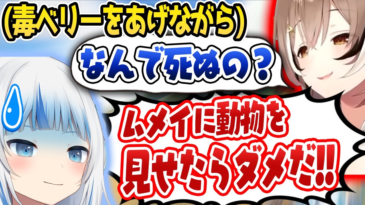 【切り抜き】毒を与えながら動物が死ぬ姿を不思議そうに見つめるムメイ.....。う〇ちを食べようとするムメイ....【ホロライブ/がうるぐら/七詩ムメイ】