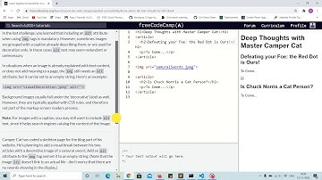 Tutorial 2 - when to leave alt empty - free code camp (Explained)
