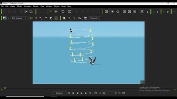 Tutorial Iclone 8 | How Animate Bird Fly using Path with Cam