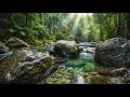 Peaceful Flowing River Sounds | Nature White Noise Ambience