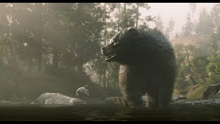 RDR 2 ОХОТА НА МЕДВЕДЯ\\ГАЙД НА ОХОТУ