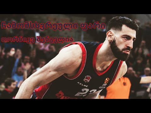 თორნიკე შენგელიას ჩამომსხვრეული ფარი