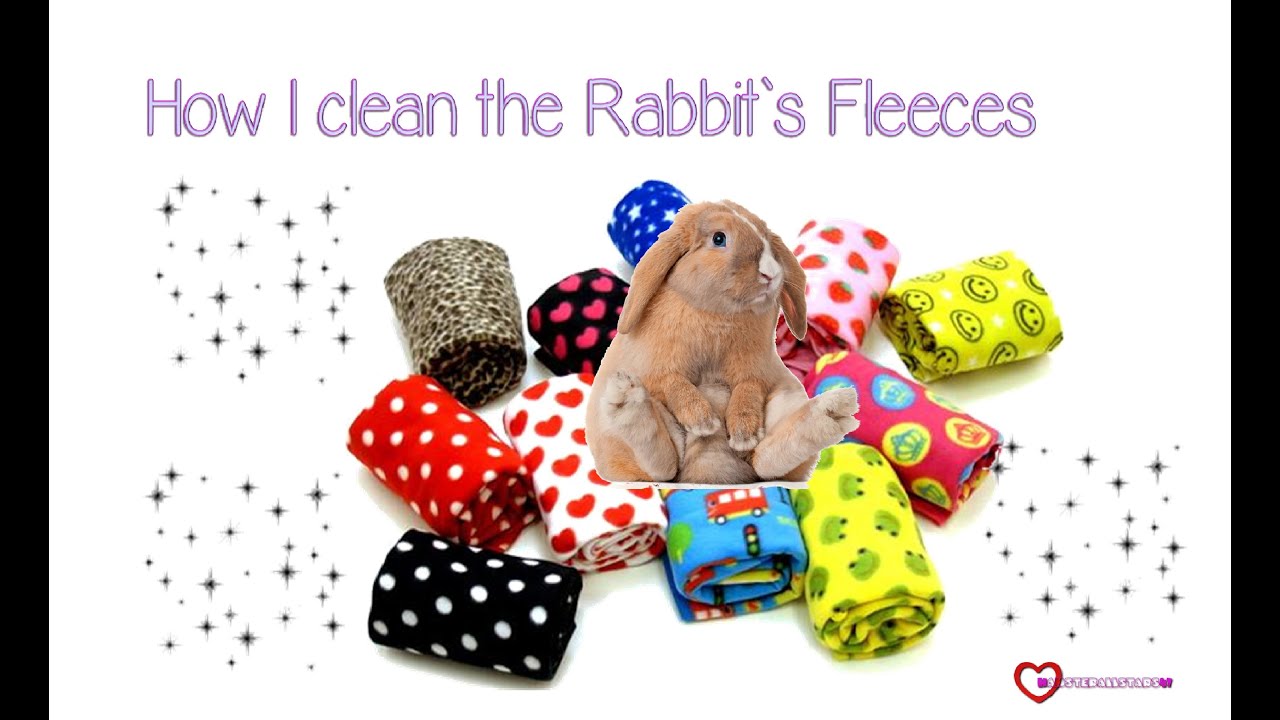 How I Clean My Rabbit`s Fleeces YouTube