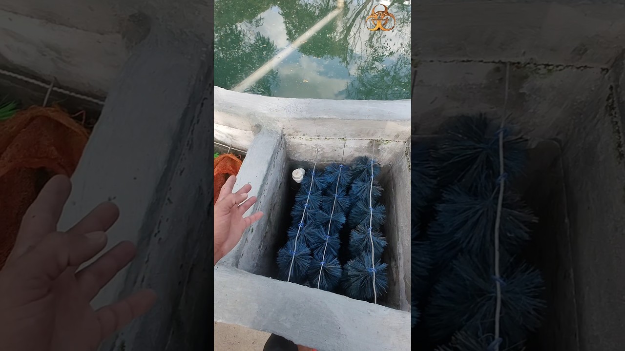 tá aqui o segredo da criação sistema de filtragem 