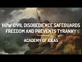 How Civil Disobedience Safeguards Freedom and Prevents Tyranny