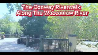 Kingston Park & Riverwalk in Conway, South Carolina #virtualwalks