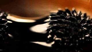 Ferrofluid - Bar Magnet - The Bloch Wall