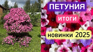картинка: ПЕТУНИЯ: БУДУ ЛИ ВЫРАЩИВАТЬ? ИТОГИ 2024 #милыйдом