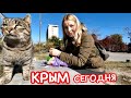 КРЫМ осень: ВСЕ УЕХАЛИ! Феодосия сегодня: ГОЛОДНЫЕ животные. Цены и достопримечательности, ЛИВЕНЬ