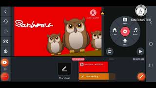 Sanborns Logo Speedrun Kinemaster