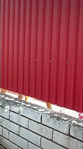 зачем ругаешься начальника#собаки#shorts - YouTube