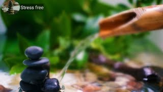 5 minutes Relaxing Piano Music Bamboo Water Fountain, Sleep Music, Relaxing Music, Meditation Music