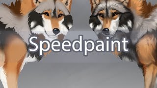 Issa (wolf shading and details speedpaint)