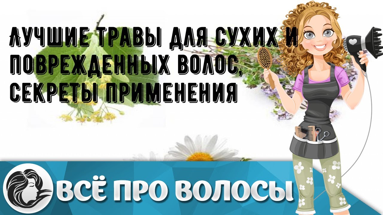 Лучшие травы для сухих и поврежденных волос, секреты применения