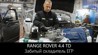 Рендж Ровер 4.4 ТД - не верный диагноз по замене клапана ЕГР, оказалось охладитель ЕГР забит.