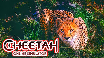 The Cheetah: Online RPG Animal Simulator - Gameplay Walkthrough Part 20 (iOS, Android)