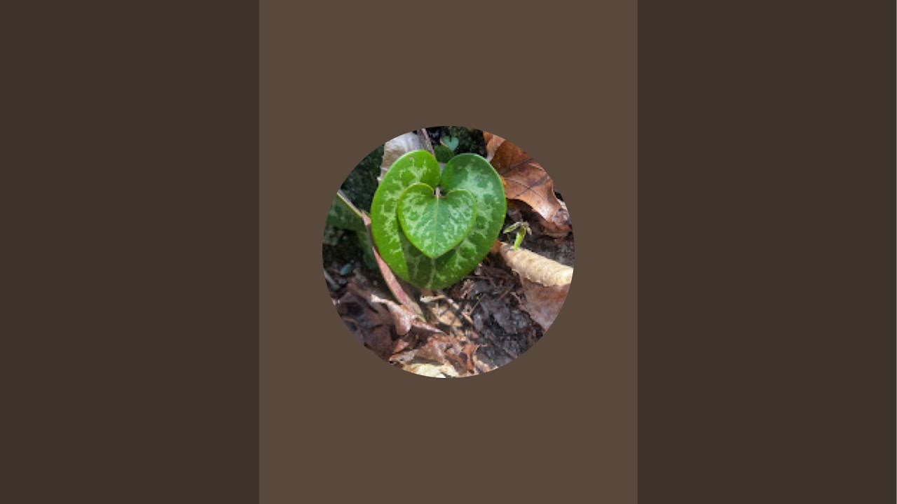 Quick Quarry site live 