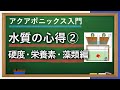 アクアポニックスに必要な水質の知識②（硬度、栄養、藻）