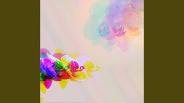 Sublime Backdrops for Creative Night