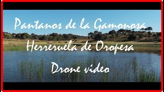 🌄 PARAJE DESCONOCIDO en Herreruela de Oropesa, los Pantanos de la Gamonosa A VISTA DE DRON 🚁