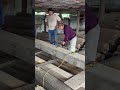 The process of cutting wooden blocks using a chainsaw by workers #youtubeshorts #trending