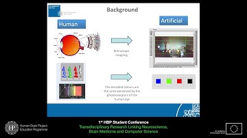 Student Session II: Elisa Massi - Real-time neuromorphic encoding of visual stimuli (...)