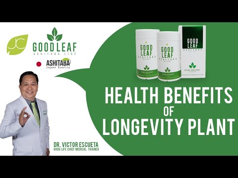 GOOD LIFE HEALTH FORUM: OUR ASHITABA PRODUCTS