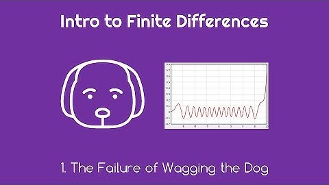 Intro to Finite Differences 1 The Failure of Wagging the Dog