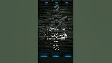 تلاوة خاشعة وهادئة