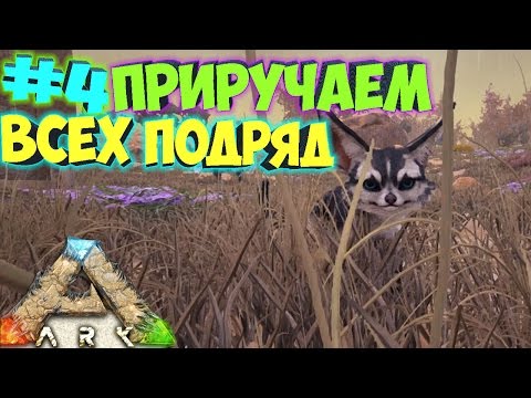 смотреть прохождение игры арк сурвайвал эволв начало
