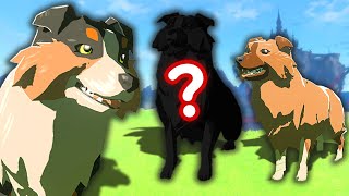Celebrity What is the Rarest Dog in Hyrule? Net Worth