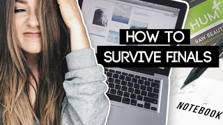 Survive Finals Week! Study Hacks + Tips! | Caitlin Bea