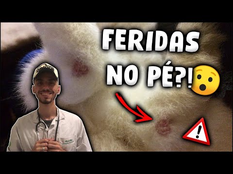 Vídeo: Fundo de pensão 