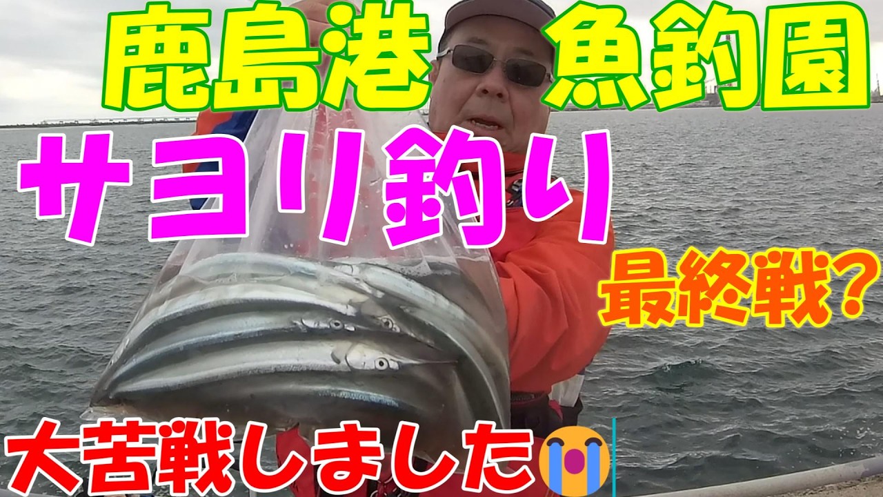 【2026釣行記 鹿島港魚釣園】『サヨリ釣り』★大苦戦