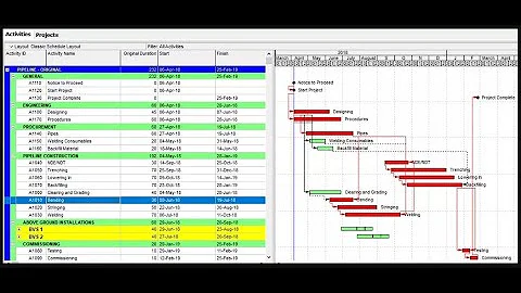 How to filter 2 week look ahead schedule in Primavera