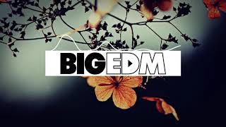 Slchld - Wednesday Girl (Dream Hackers Remix) | BIG EDM