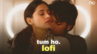 Tum Ho Lofi | Hindi Lofi | Rockstar | Ranbir Kapoor | eternaL