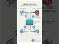 How VLANs Actually Work: 802.1Q Tagging &amp; Segmentation Explained #networkdiscovery