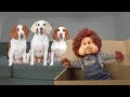 Dogs Surprised with Creepiest Fofão Doll Ever! Funny Dogs Maymo, Potpie, Indie &amp; Penny Meet Fofao