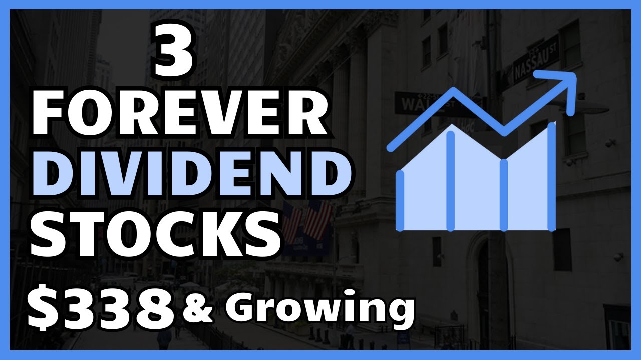 3 Buy And Hold Forever Dividend Stocks YouTube