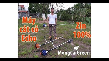 Giới thiệu 3 chiếc máy cắt cỏ Nhật bãi mới 99% - Echo CGT24DL - Echo JT220DX - Echo EGT220