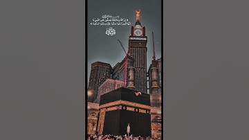 اجمل تلاوه للشيخ ياسر الدوسري ارح قلبك قليلاً ❤️‍🩹😌🙂‍↔️❤️