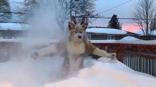 A Furrie who loves snow!