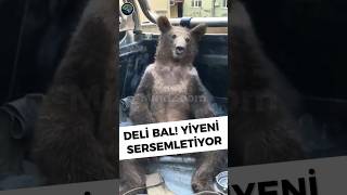 Karadeniz’in Delisi: Deli Bal 🍯 Zehriyle Meşhur Bal Resimi